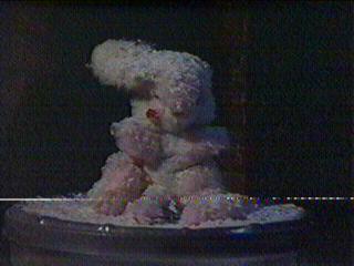 The Wonderland Lane Bunny